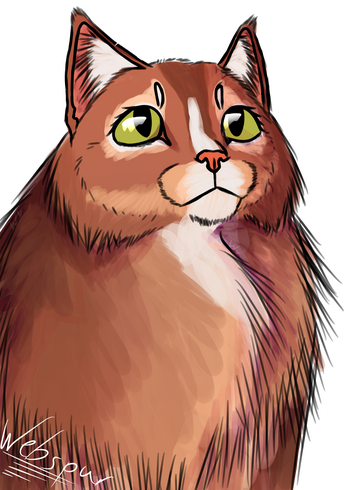 A ruddy Somali with hazel eyes and a white streak above her nose and on her neck. She has a thick mane of fur and small, tufted ears.